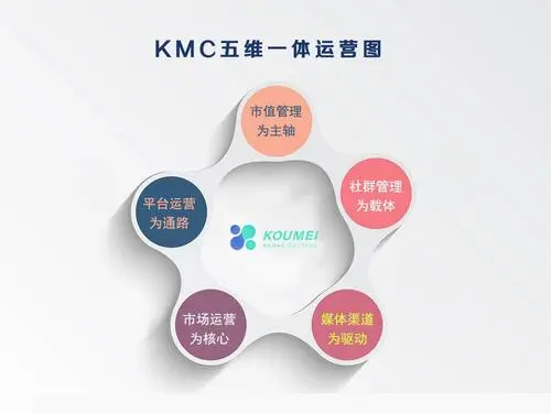 KMC知识经验萃取在线训练营，价值4999元