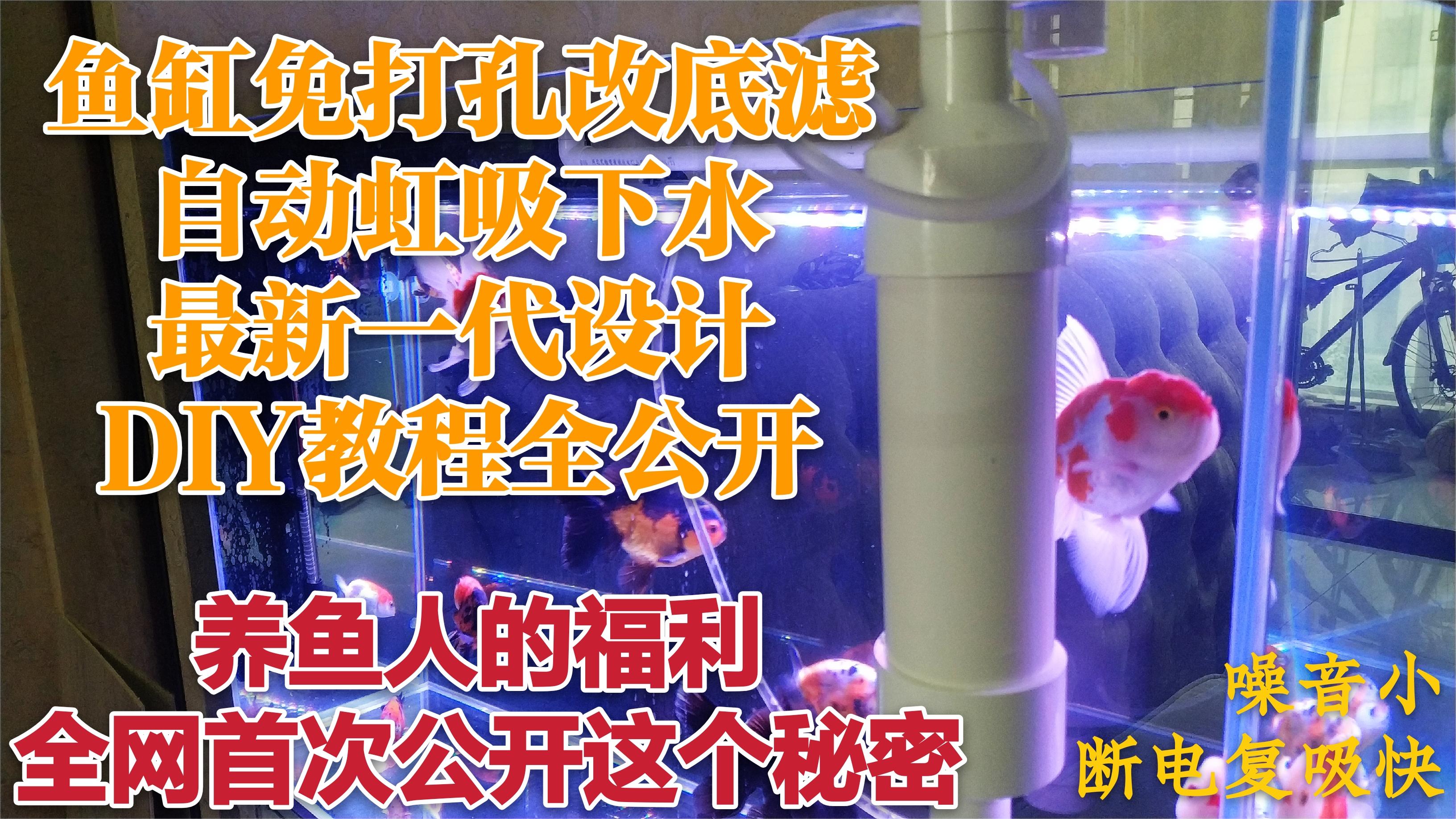 鱼缸免打孔改底滤,自动虹吸下水新一代DIY教程原理全网首次公开