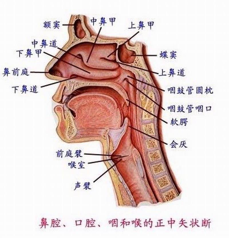 我们都是一个鼻孔出气,你认为正常吗?