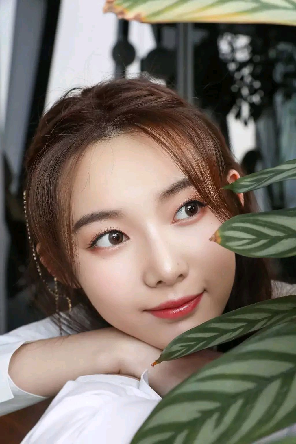 冯琬贺精美壁纸:美丽清纯,甜美温馨!