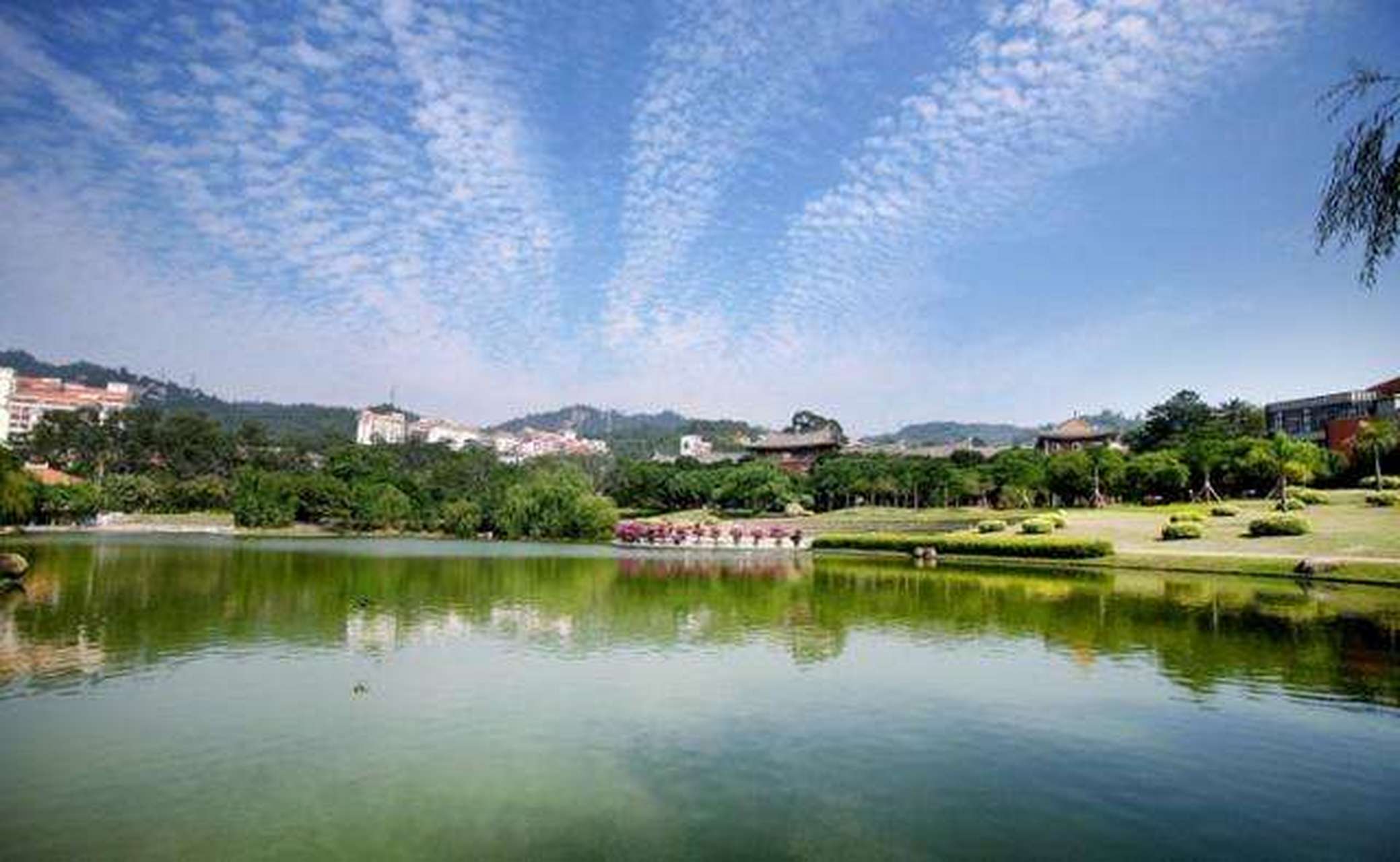 我的大学# 在大学生活开始之初,遇到需适应的新问题,这是自然的事情