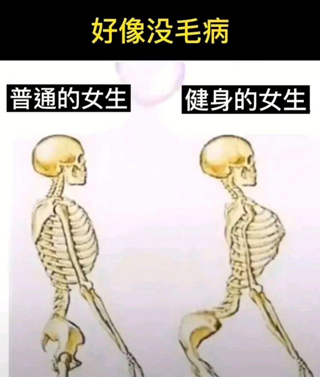 瘦骨架和胖骨架搞笑图图片