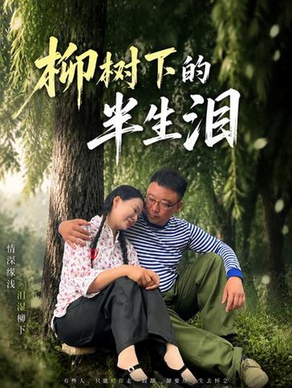 柳树下的半生泪封面图
