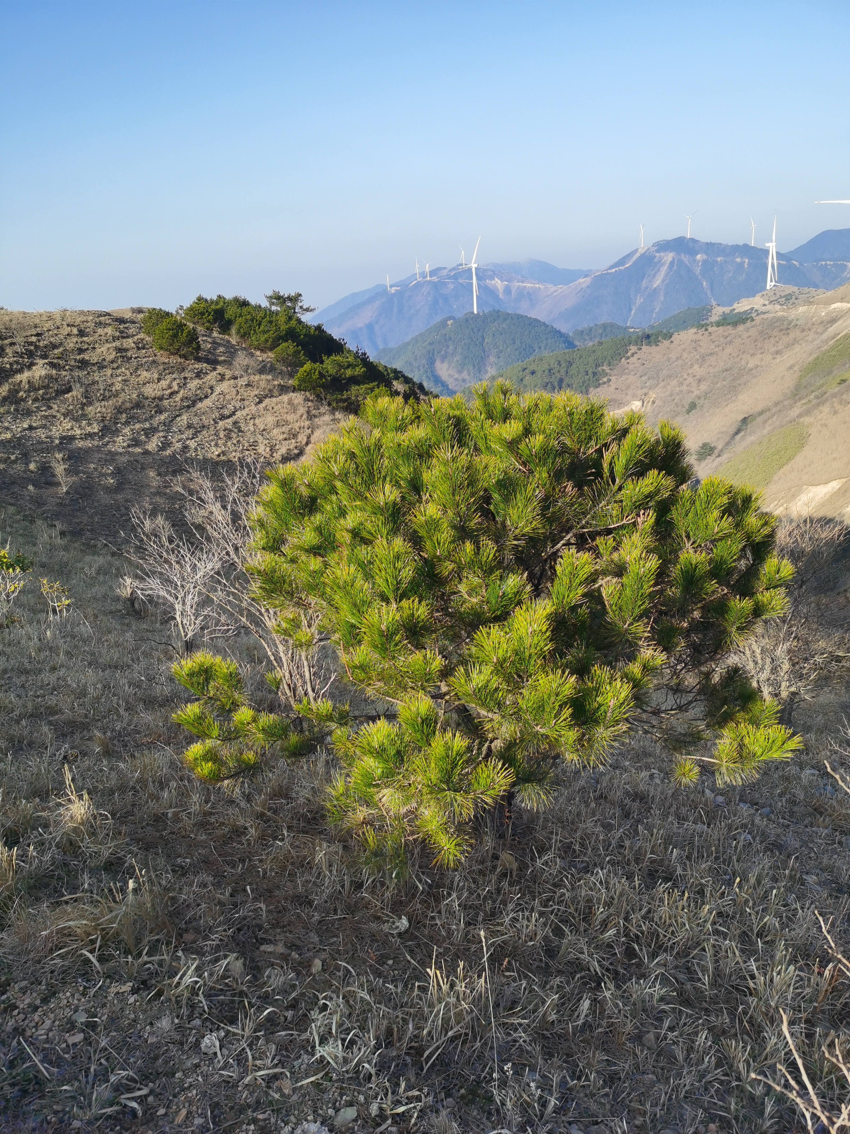徒步九岭山脉,一场视觉上的盛宴