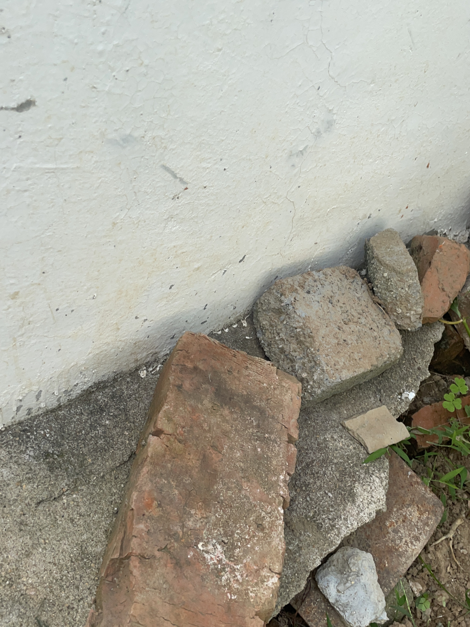 圈内某知名女星透露艺人体重不能超过43kg,不然拿不到好的资源,所以圈