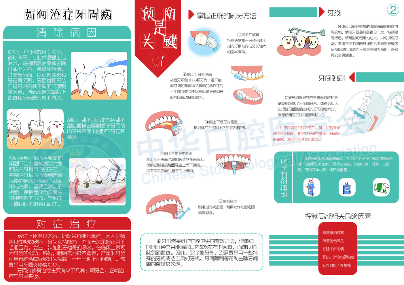 牙周病宣传图片