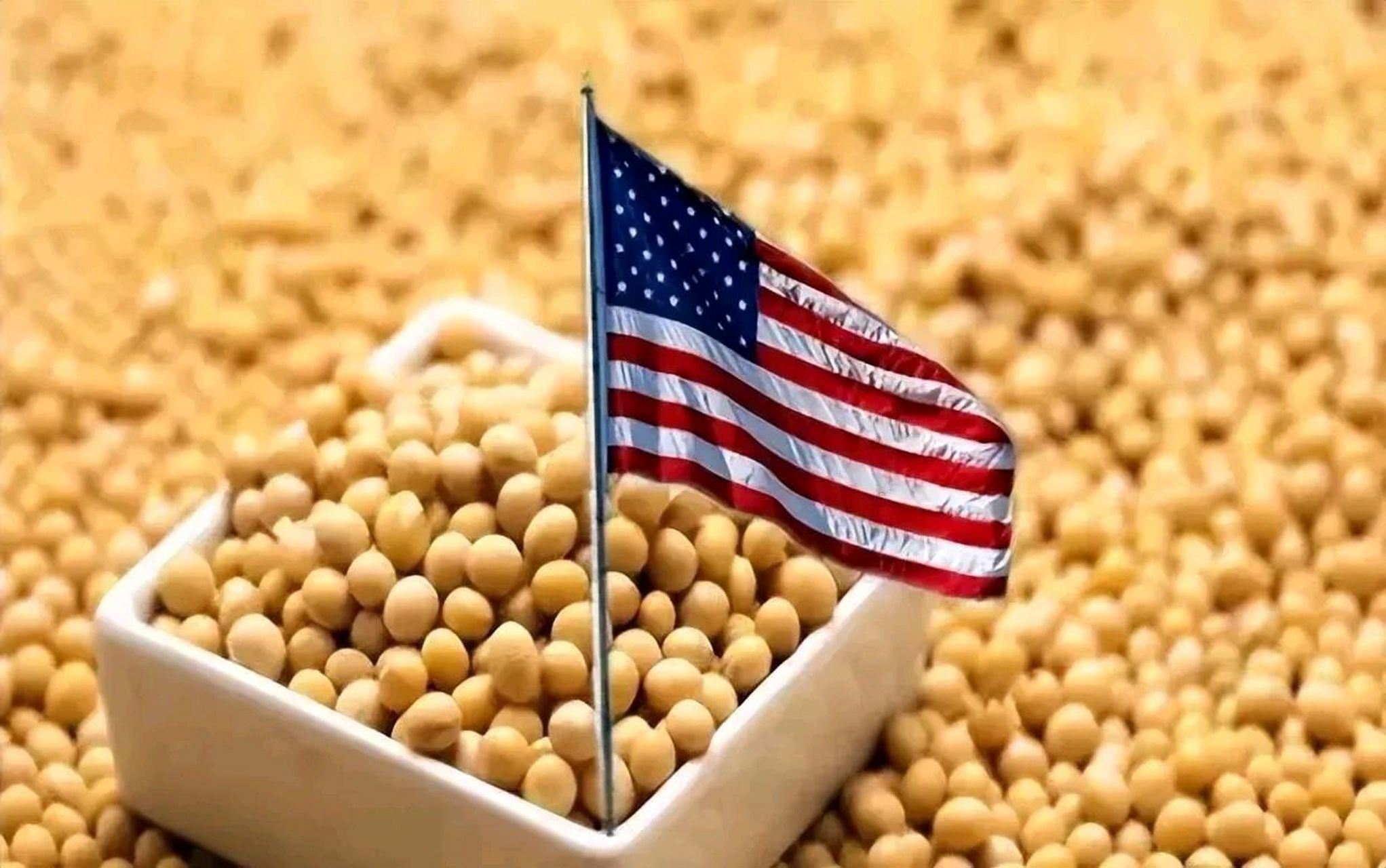 为什么不进口俄罗斯非转基因大豆,而进口美国转基因大豆  据巜联合