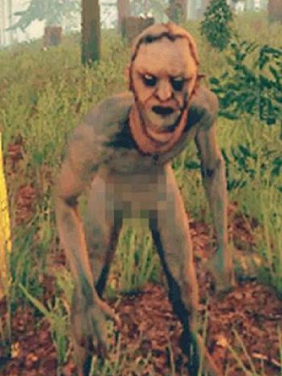 森林野人的种类1