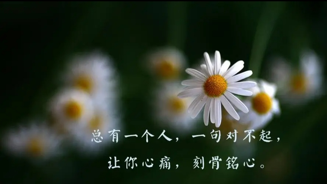 一枚草稿纸,蕴含万千情感