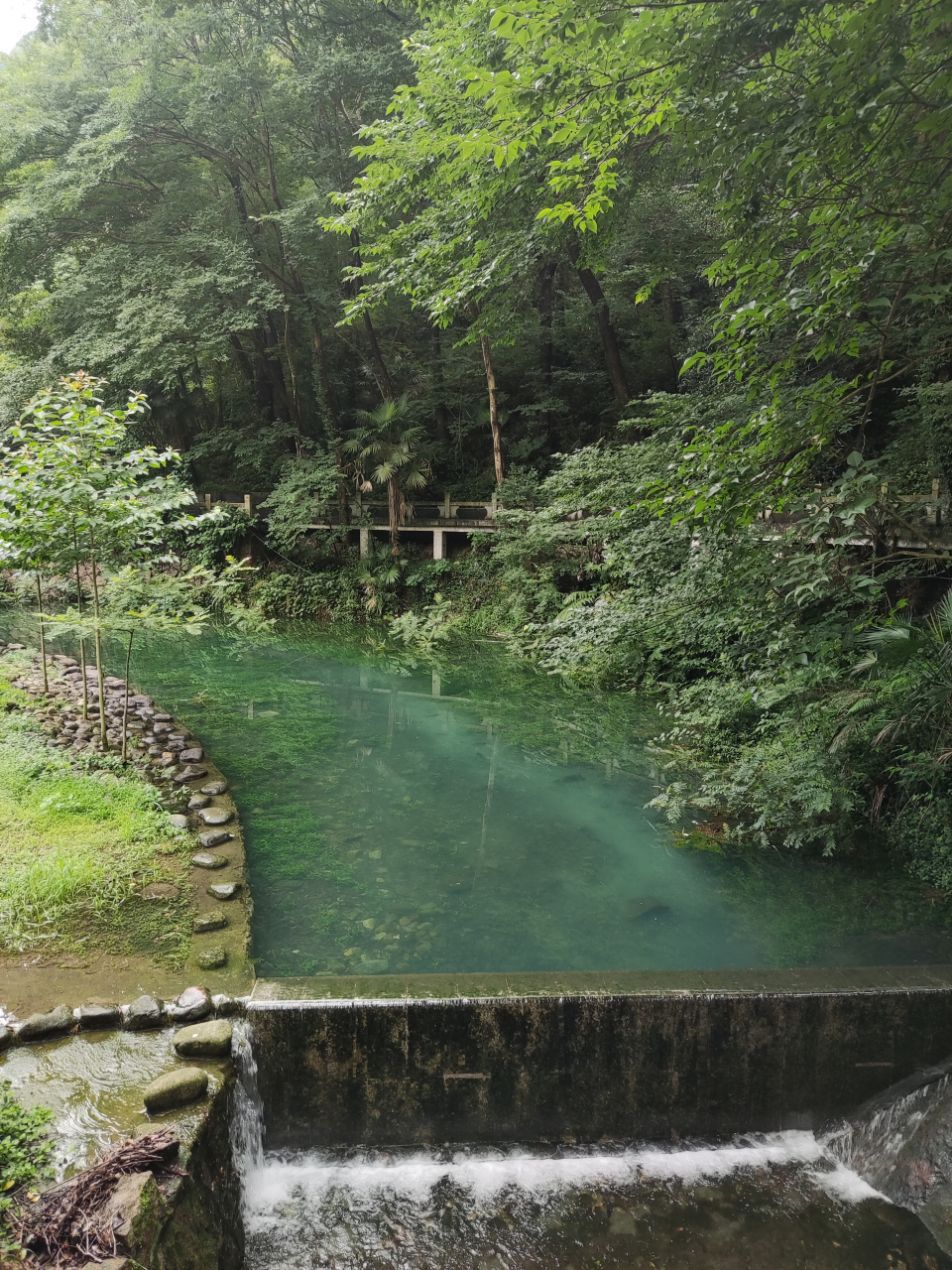 黃岩九峰公園 似墨染的畫面,淡妝濃抹總相宜.