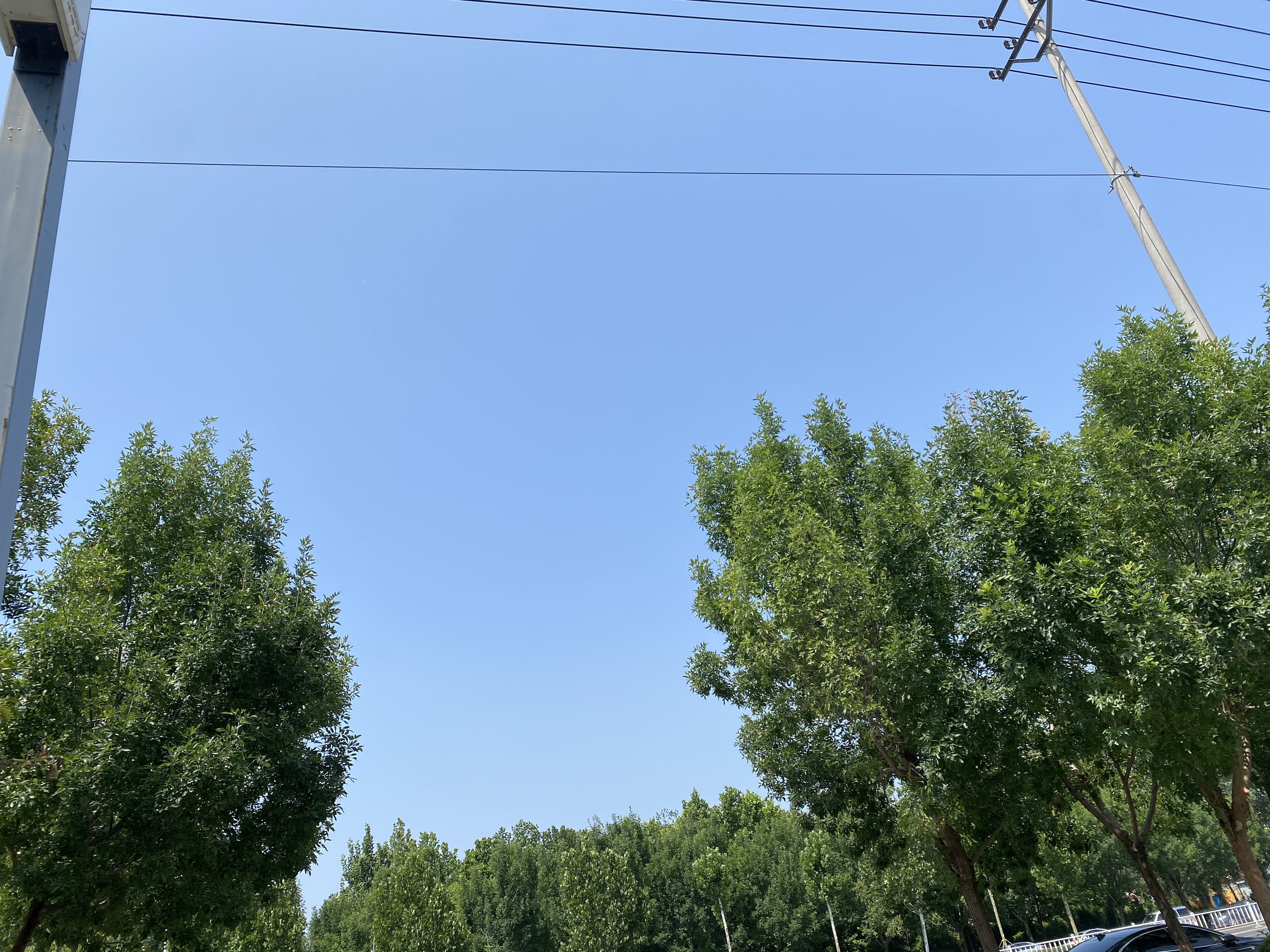 由心而生(一切都是由心而生)