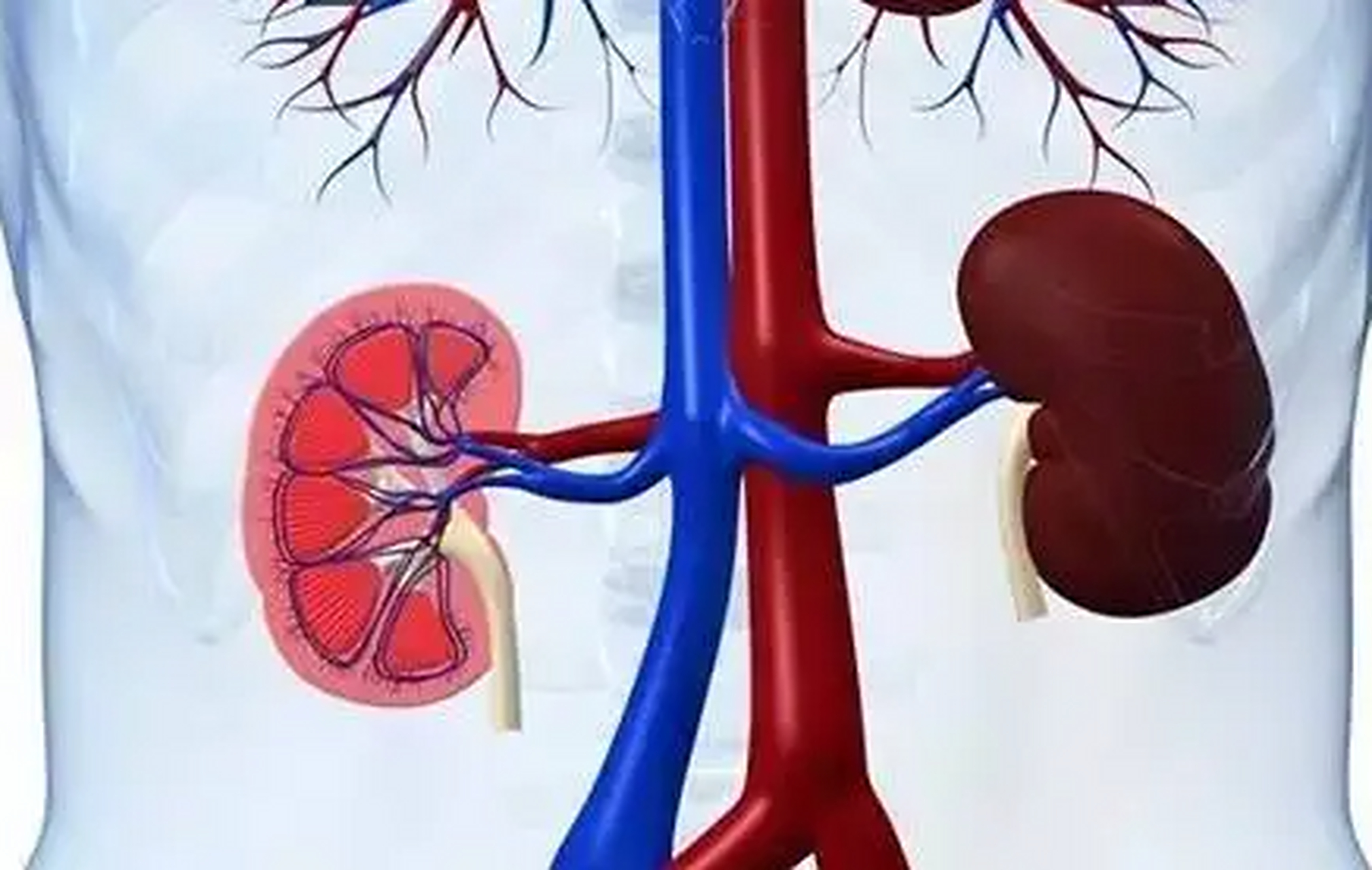 彻夜难眠?皆因肾阴不足!一个方子调回来!