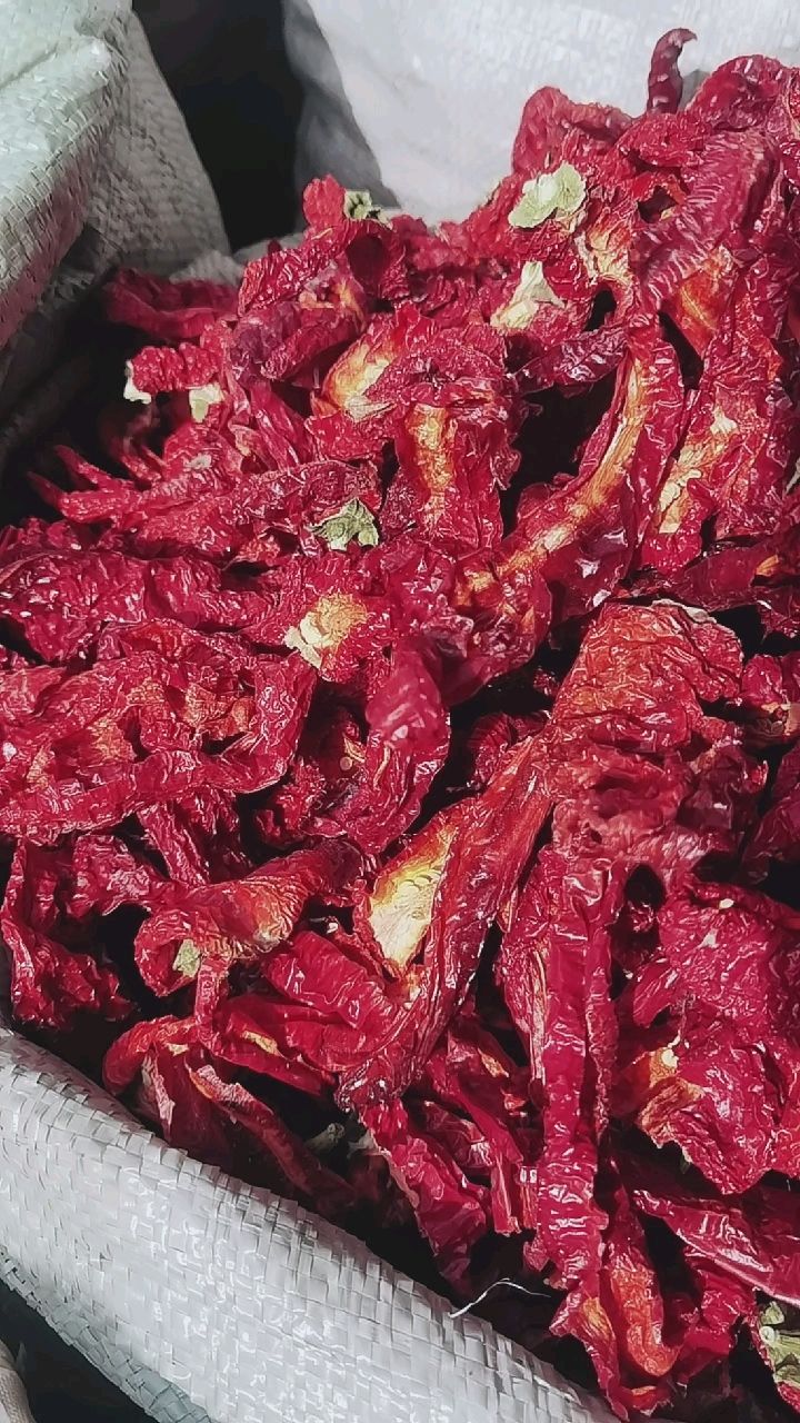 新疆焉耆肉辣椒