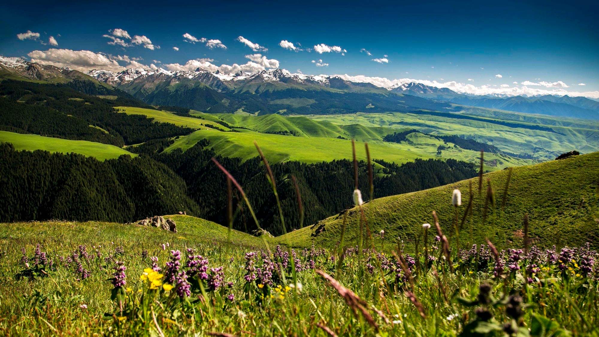 外伊犁,曾经中国的领土,新疆水源地,15万富饶土地