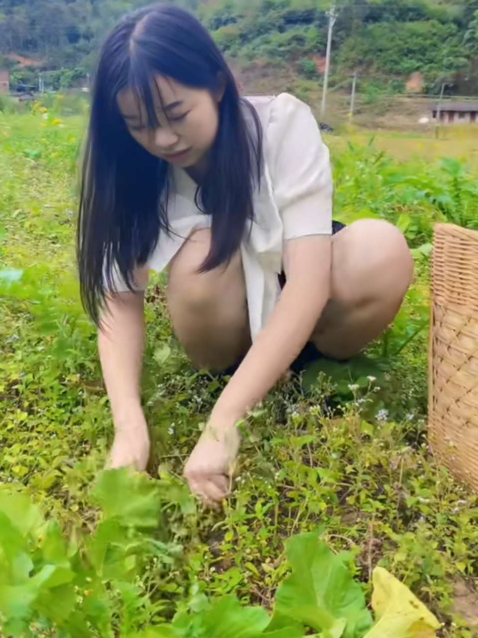 网红梦真的让一些人走火入魔了!