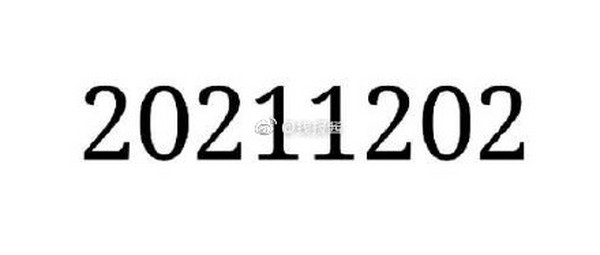今天是20211202，对称日，后面依次是2030年03月02日、