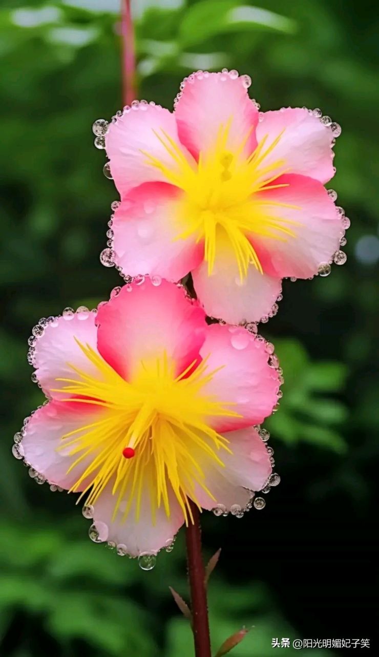 滴酒不沾的女人是标准的淑女,一旦用情绝对专一. 2.