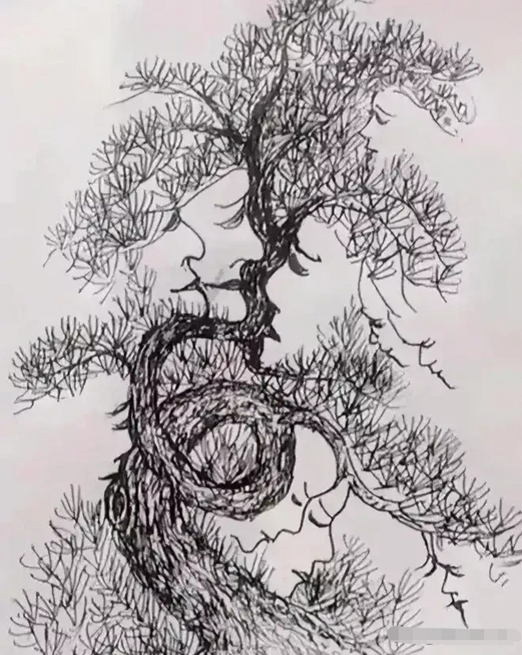 心理测试:大树找人脸!图中看到一棵松树很简单.实际上藏着好多张人脸?