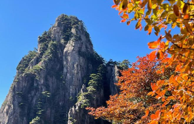 安徽黄山景区"醉"美秋景