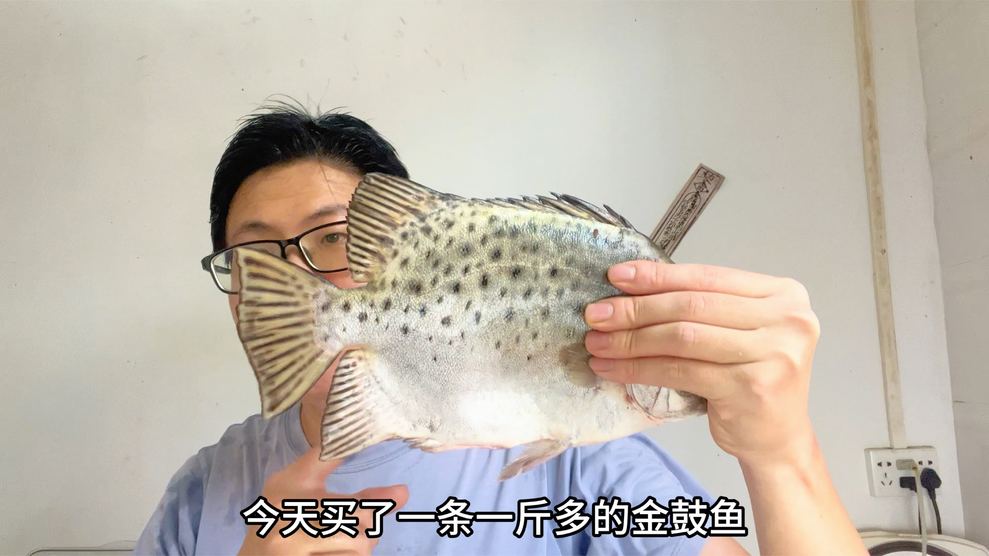 买了一条一斤多金鼓鱼，用它分享潮汕家常汤。酸咸开胃