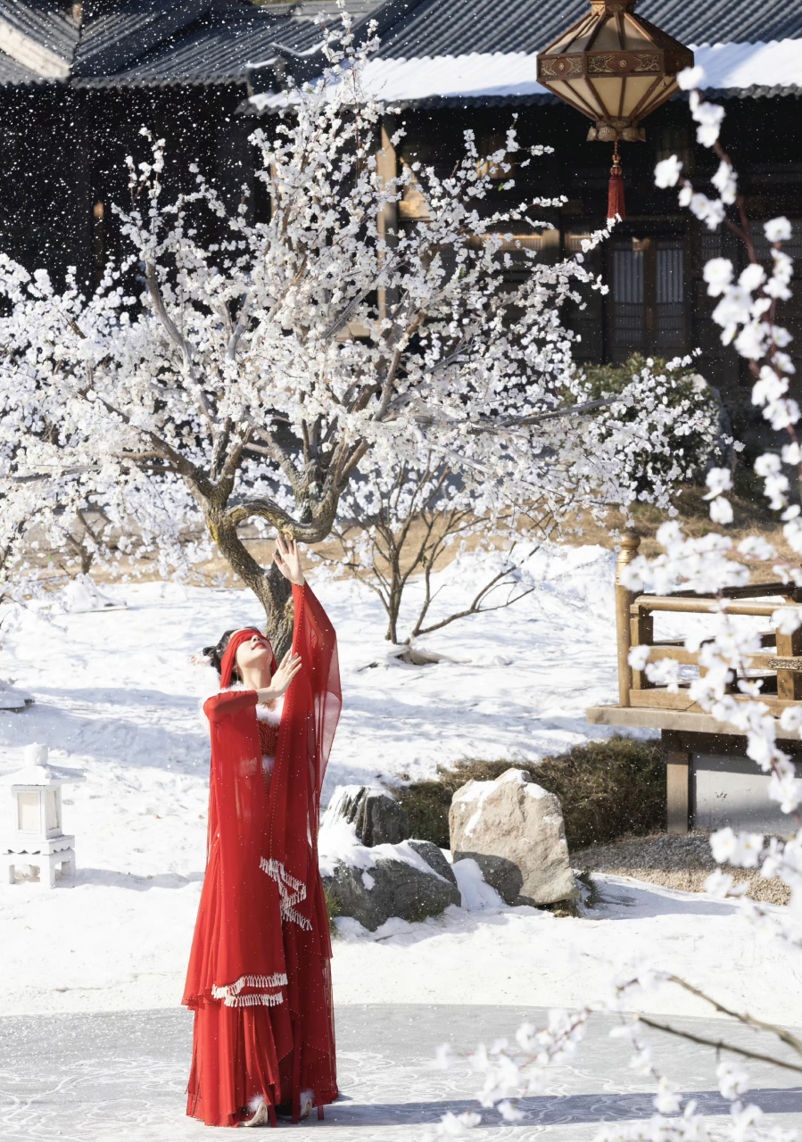 雪中红衣女子背影图片图片