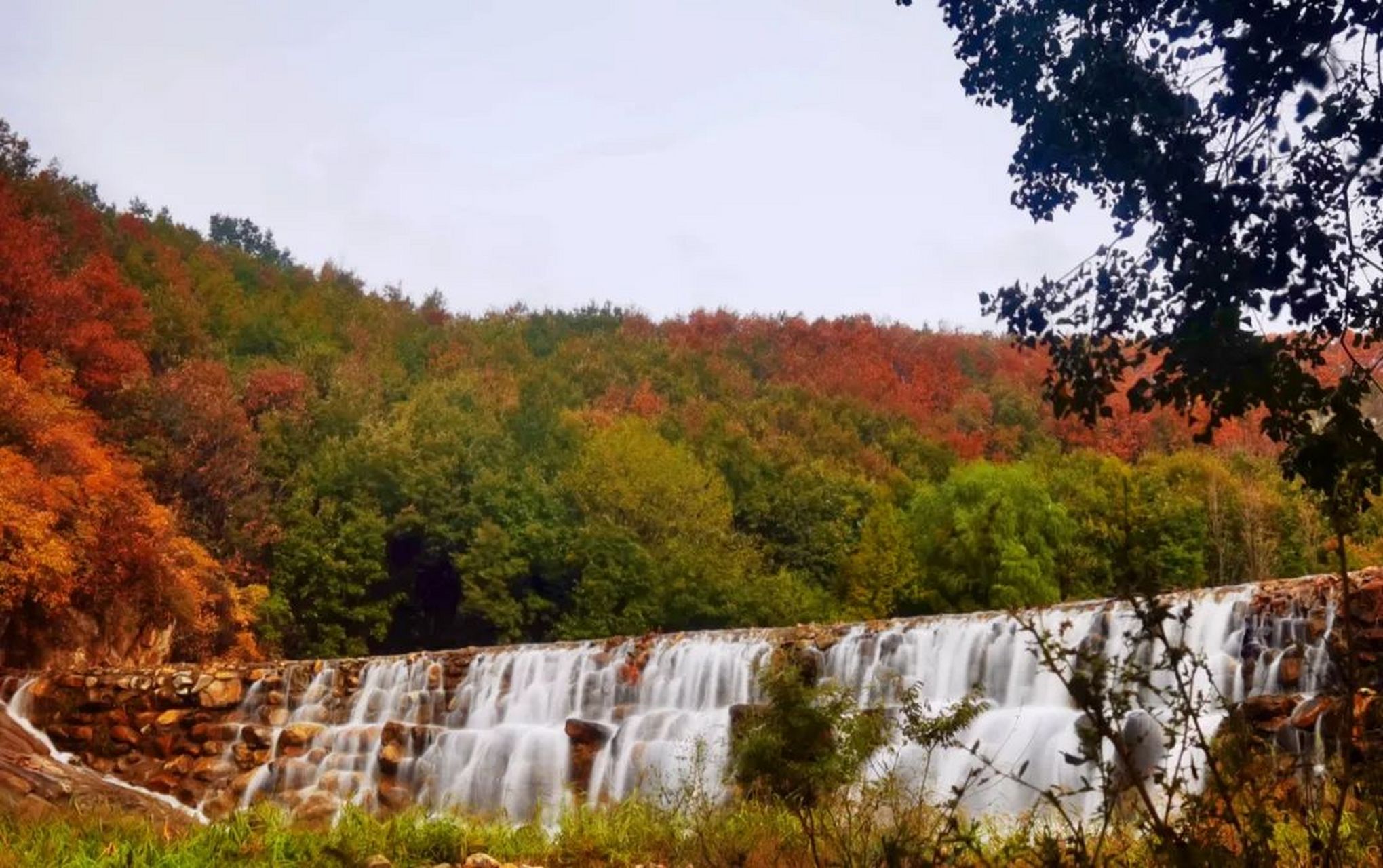 泌阳免费景点图片