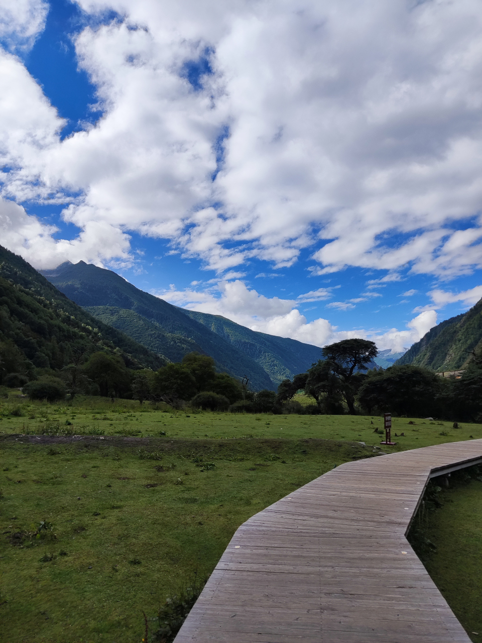 早上吃过早饭8点 步行去人参果坪,没人参观,游客都在最上面的景点