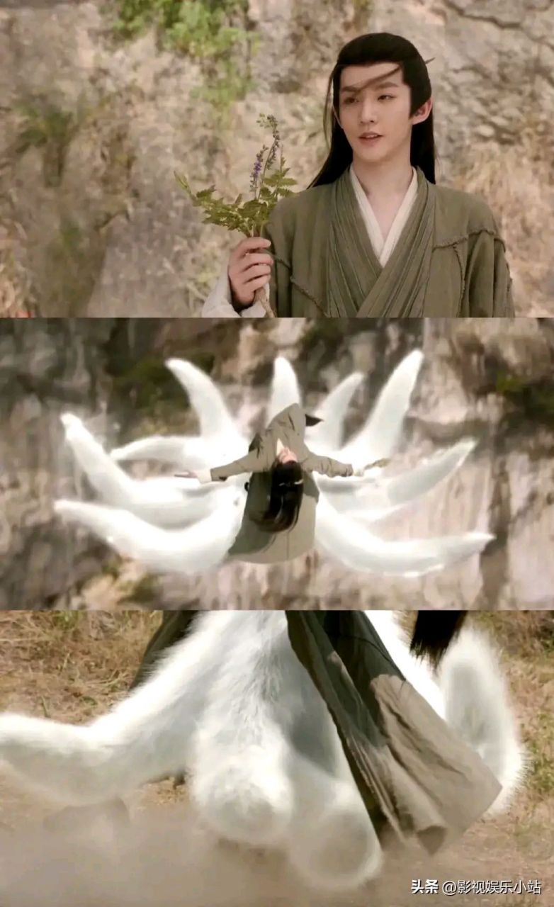 上古有四大狐族; 分别是涂山,青丘, 有苏,纯狐;  1,涂山是四大狐族最