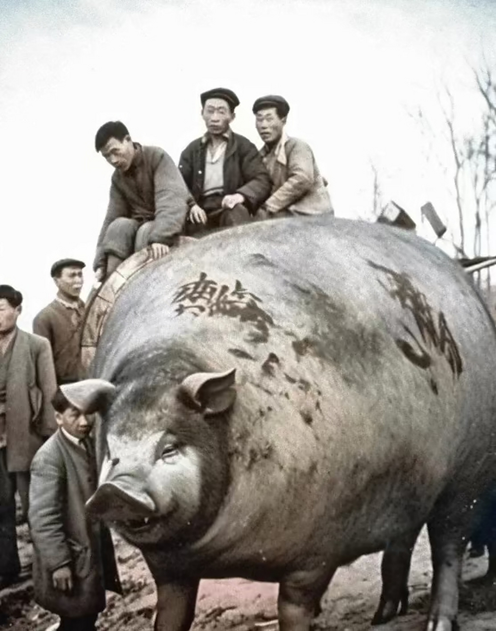 人有多大胆地有多大产