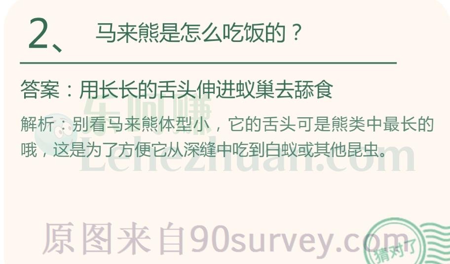 马来熊是怎么吃饭的?答案:用长长的舌头伸进蚁巢去舔食 马来熊是怎么吃饭的?答案:用长长的舌头伸进蚁巢去舔食