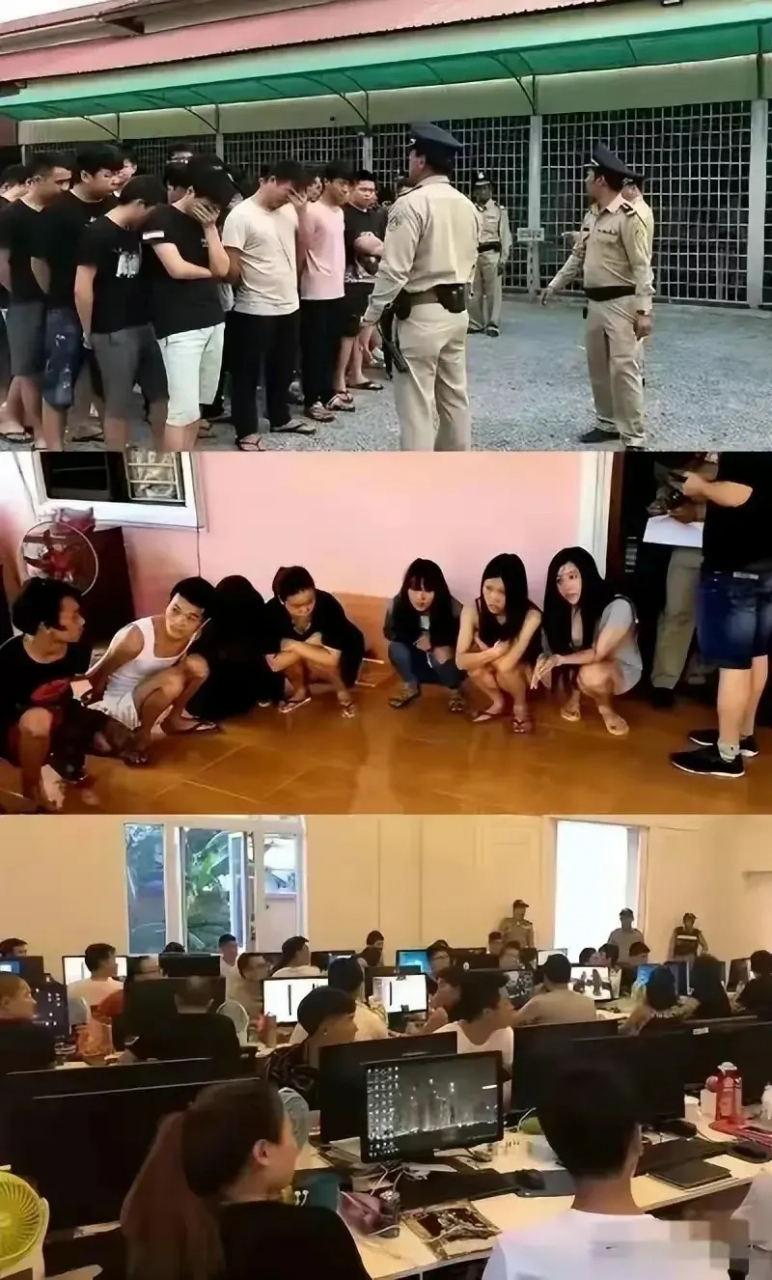 最新消息: 缅甸地区的诈骗园区现在彻底慌了.