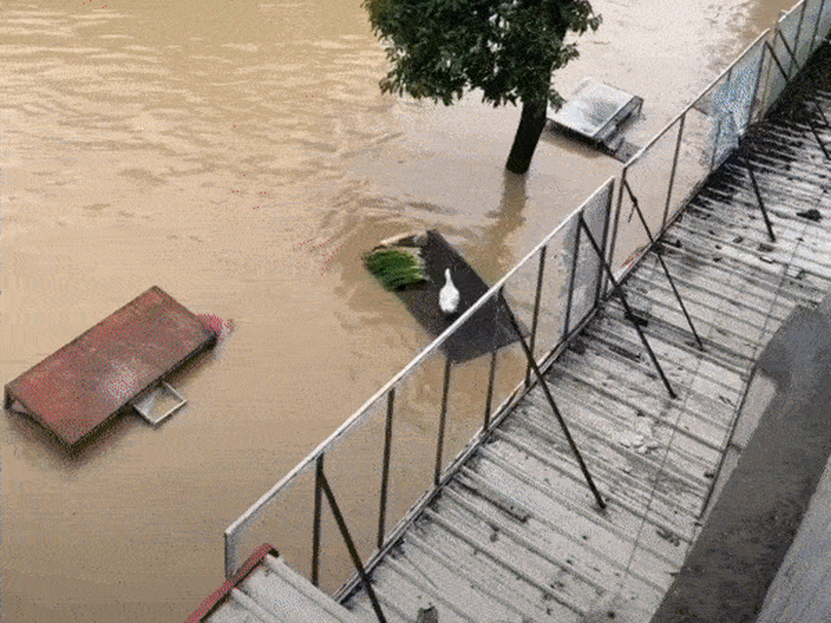 暴雨搞笑图片开船图片