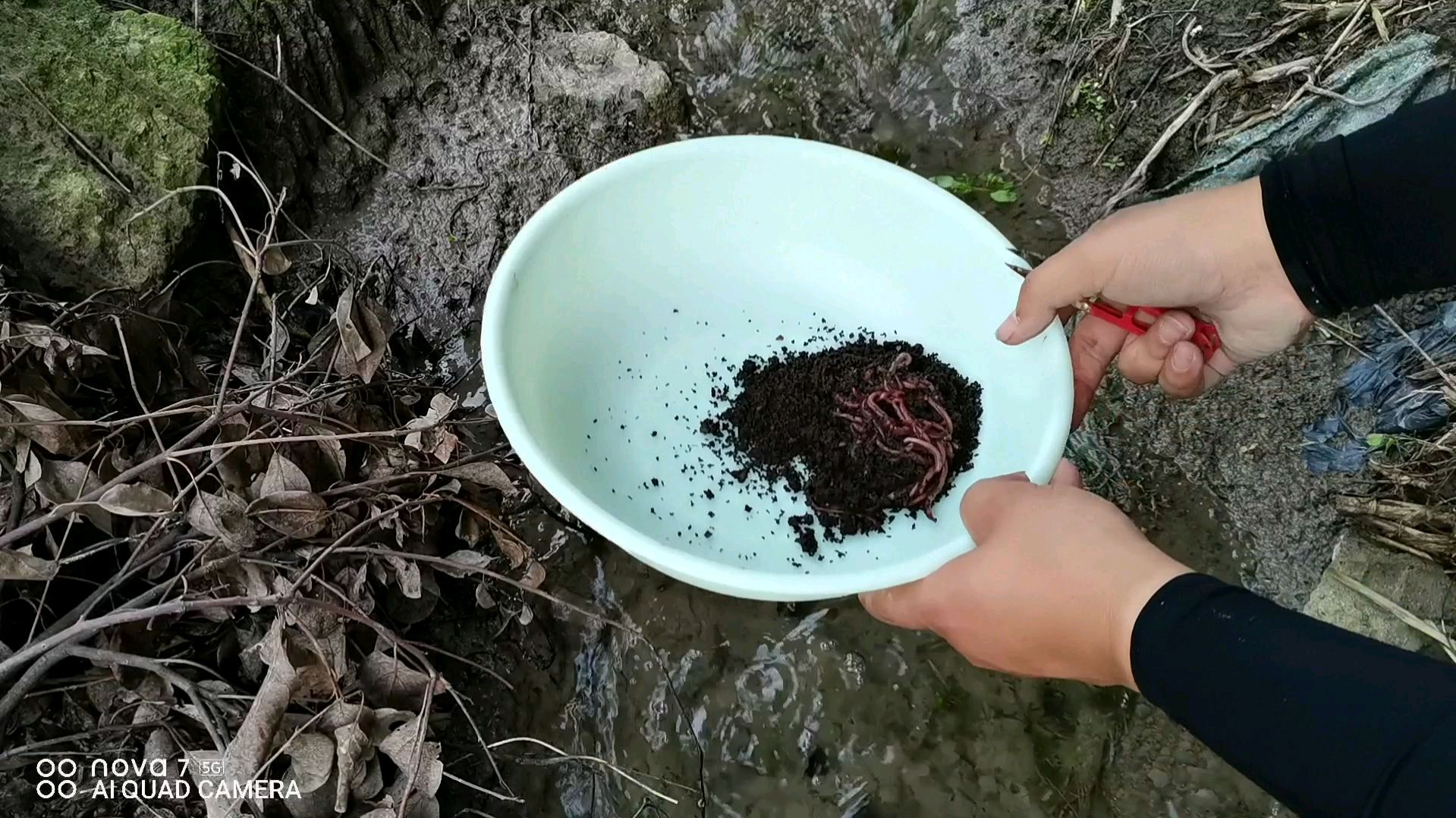 小伙无私分享夏季钓昂刺鱼,鲫鱼,鲶鱼窝料,爆护就这么简单