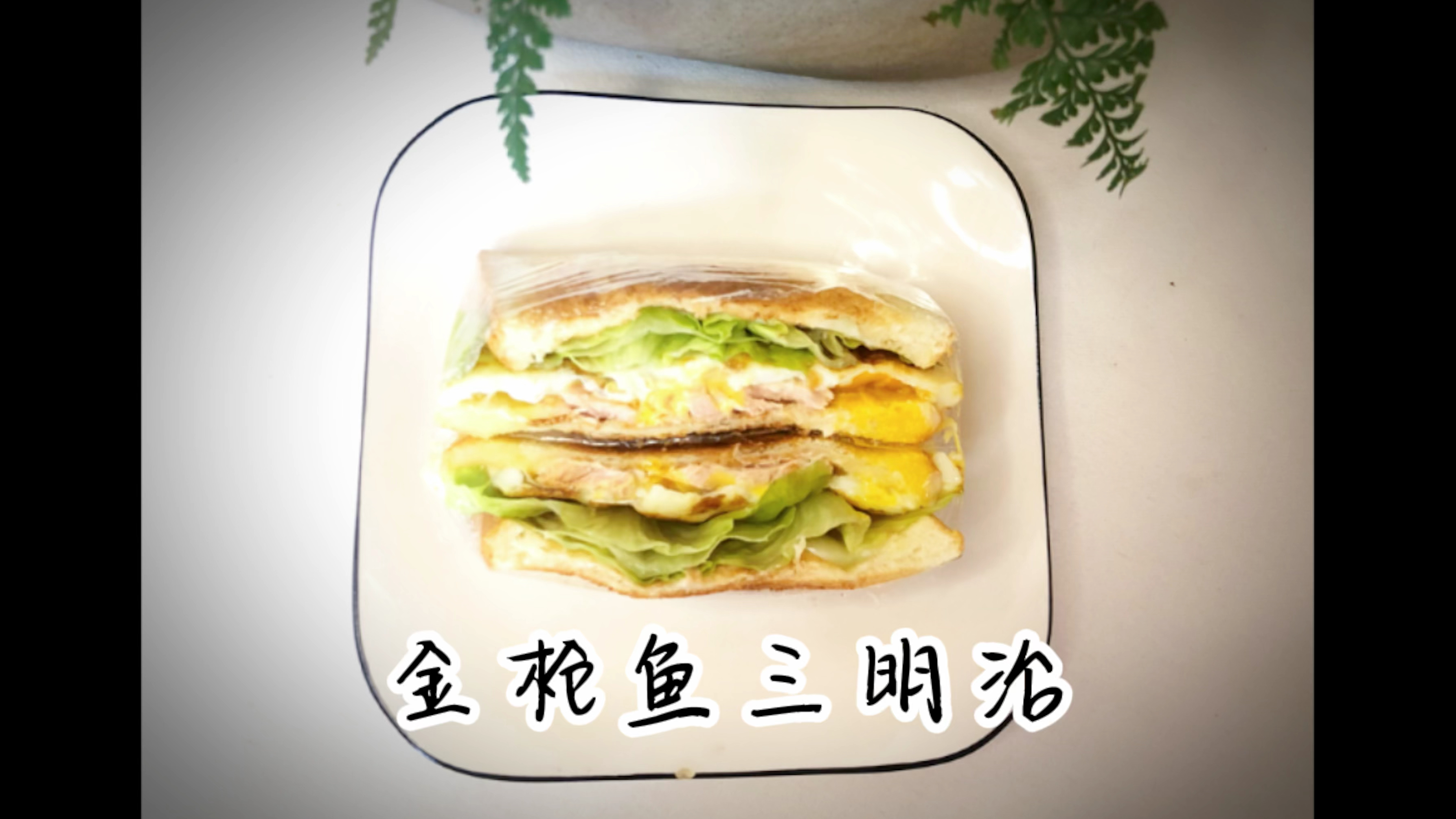 5分钟快手早餐,金枪鱼鸡蛋三明治