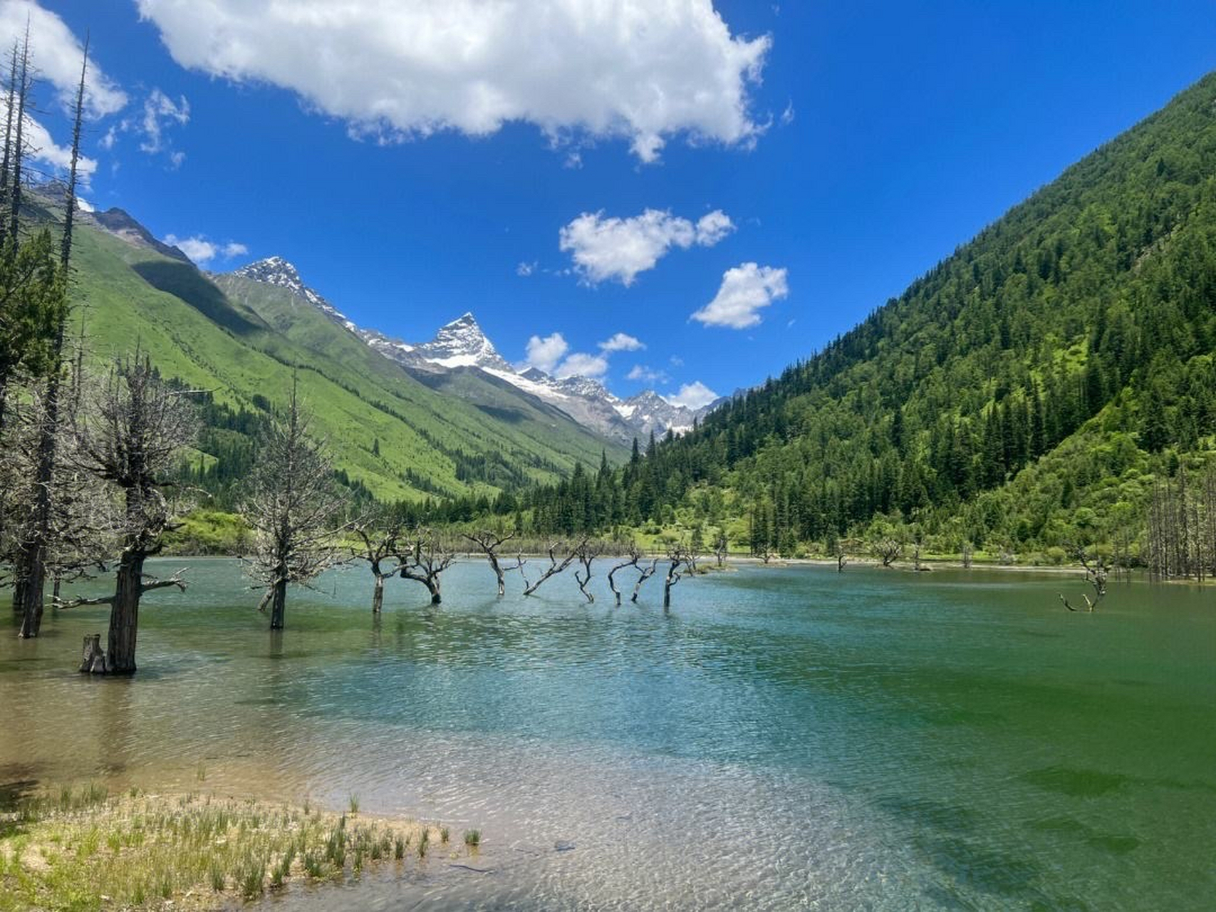 以下是五龙沟景点的详细介绍: 景区大门:景区大门气势恢宏,上方巍然立