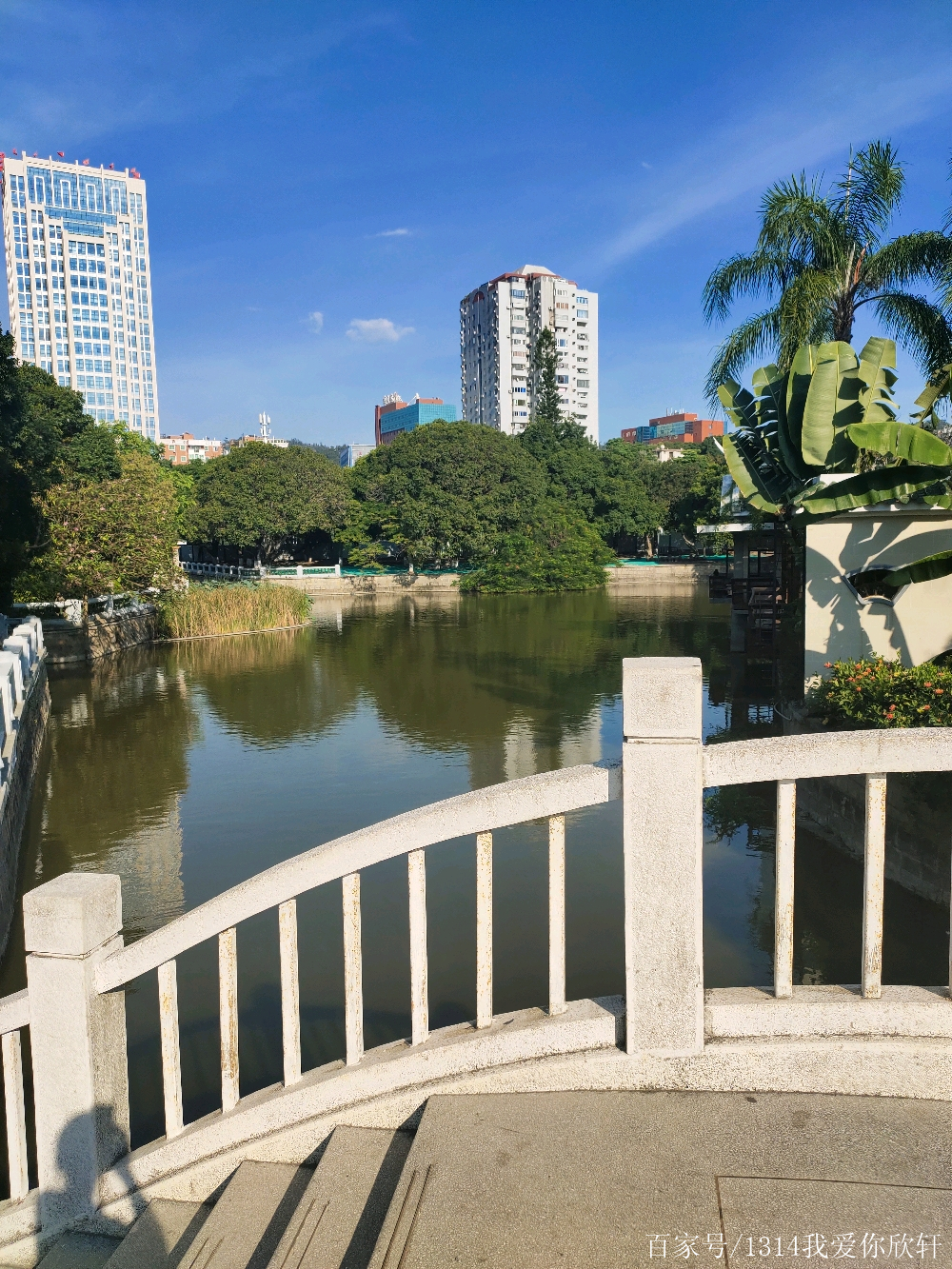 廈門中山公園旅遊景點