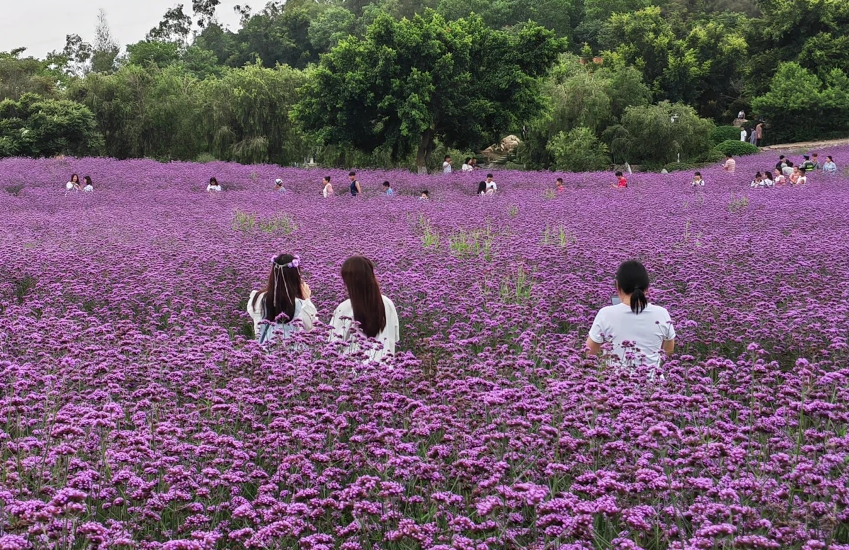 廈門翔安區旅遊景點有哪些?