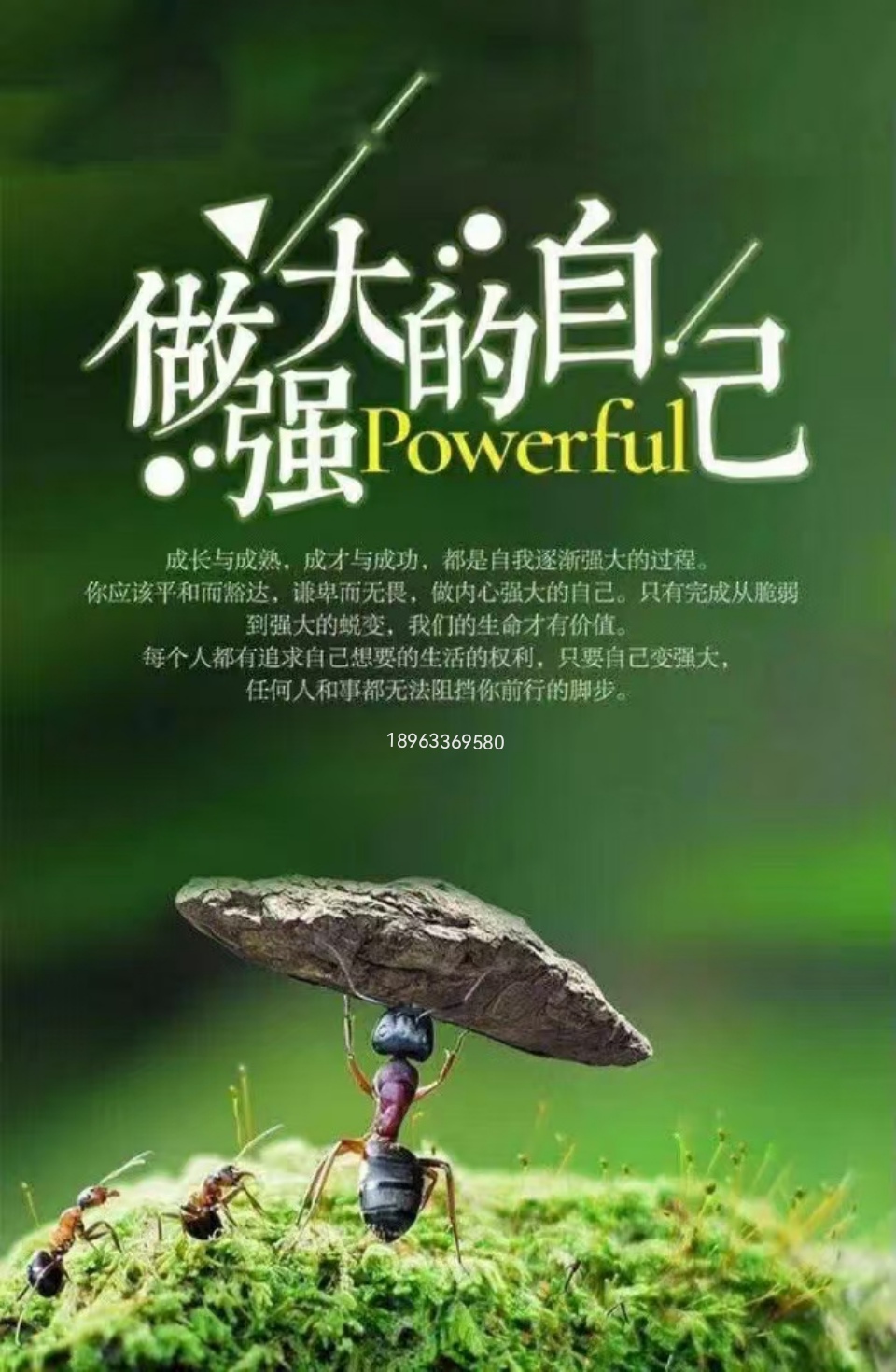 相信相信的力量