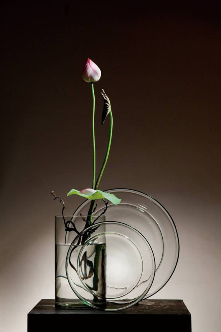 禅意生活中的舒适自在,静观花开,自在心宁,缓解生活压力