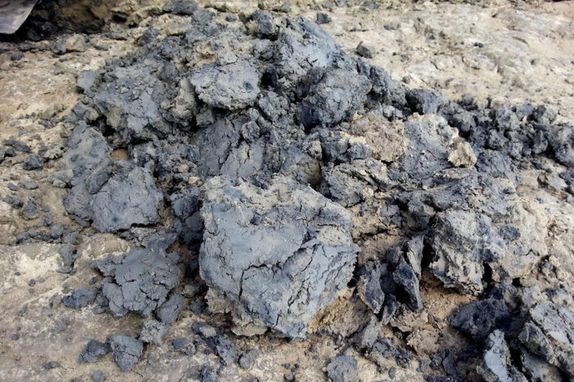 在长江,淮河和黄河的下游以及鄱阳湖周围的土壤.