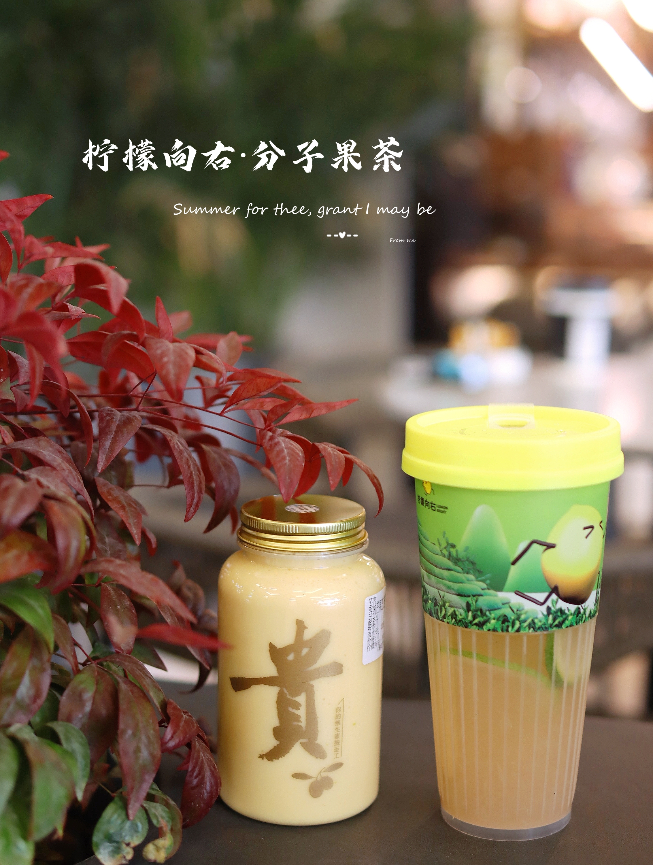 港汇里面有一家排队人气王的茶饮店 每次经过的时候总是忍不住过来