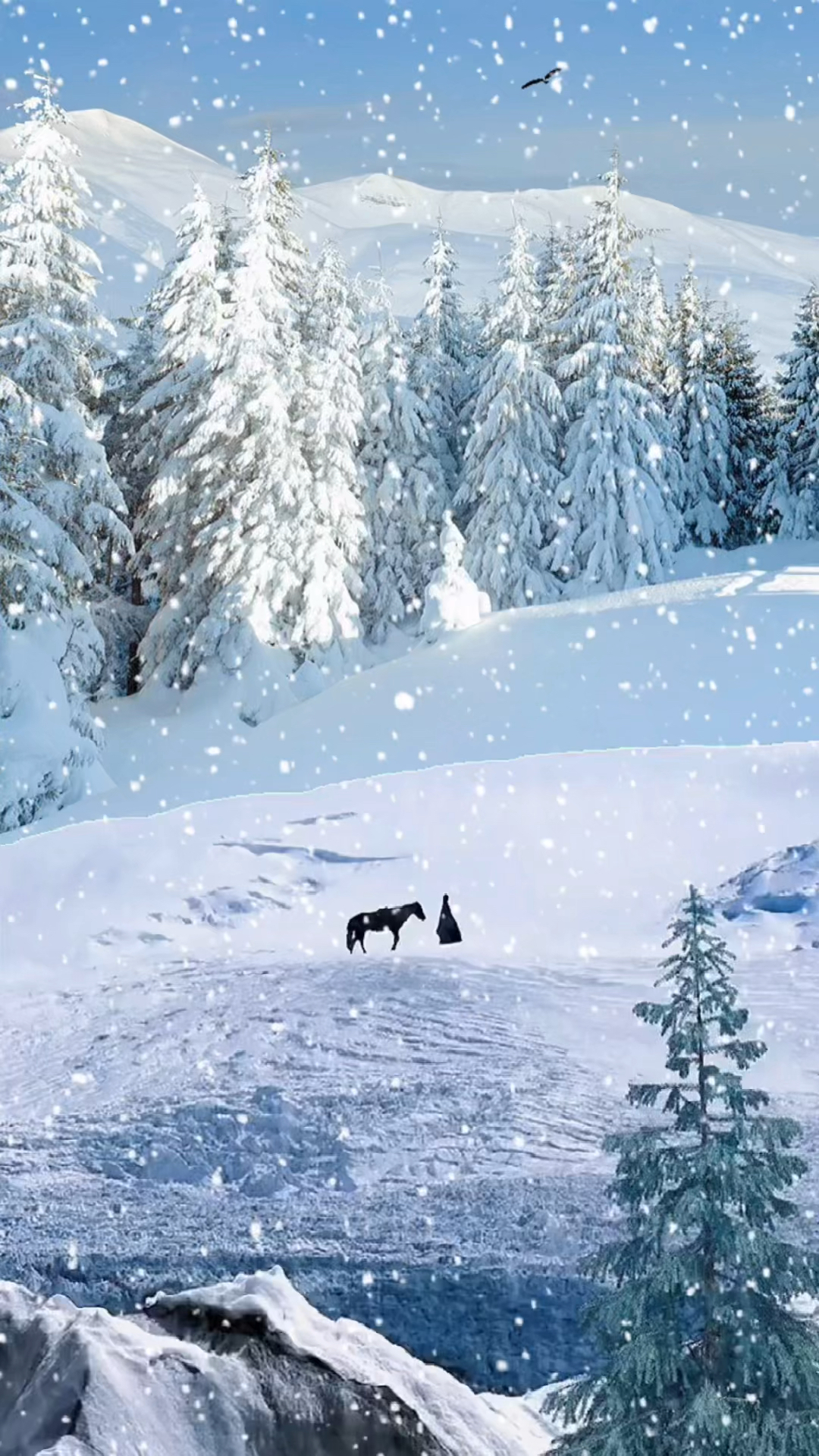 转眼夏天成了过去,秋天成了风景,一个人走在茫茫大雪里,说不出是孤单
