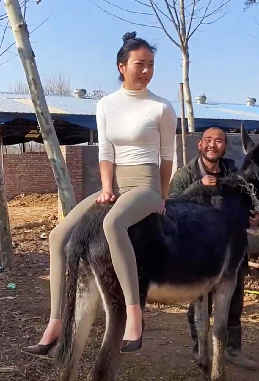 驴脾气上来不走了,这可咋整呀?