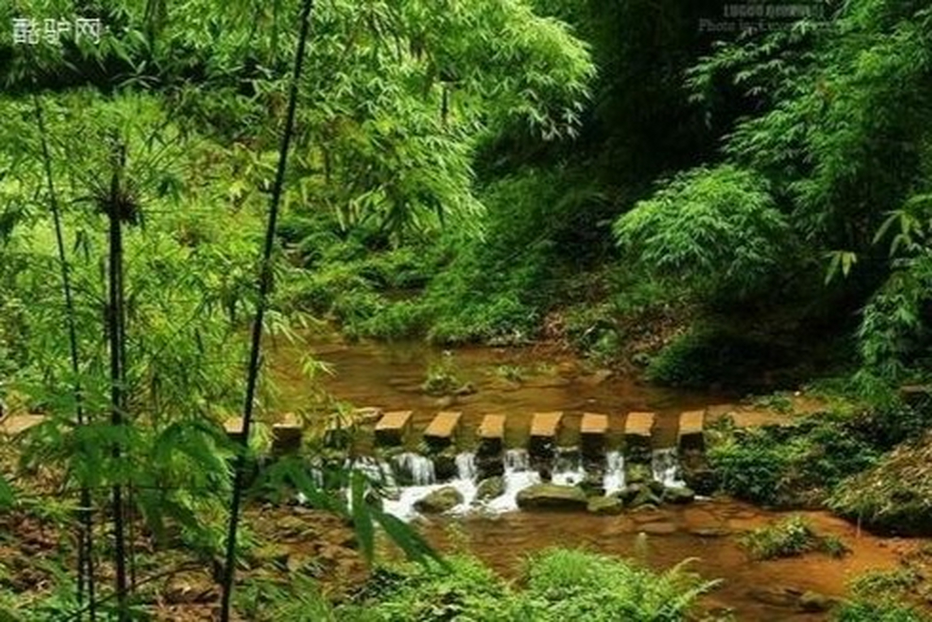 成都市区最近的竹海宝藏