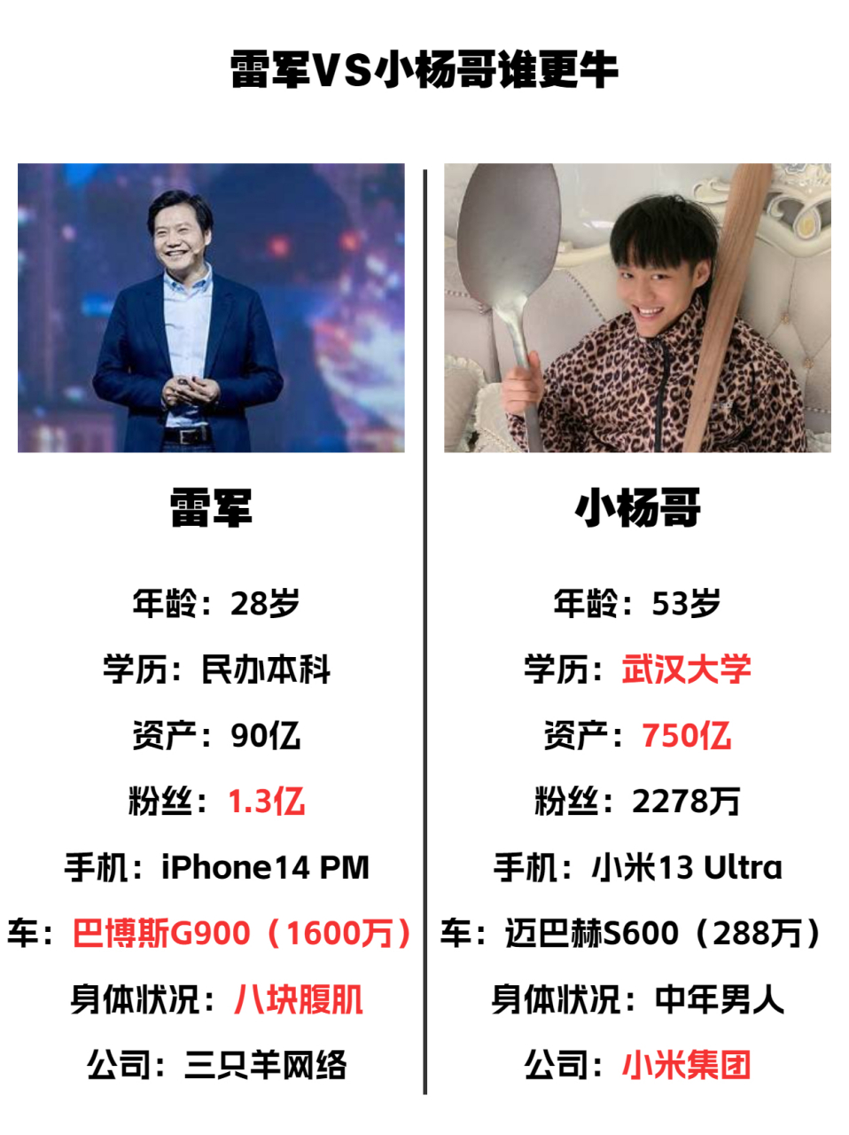 网友将雷军和小杨哥对比,大家觉得哪个更厉害9199 #雷军 #小杨哥