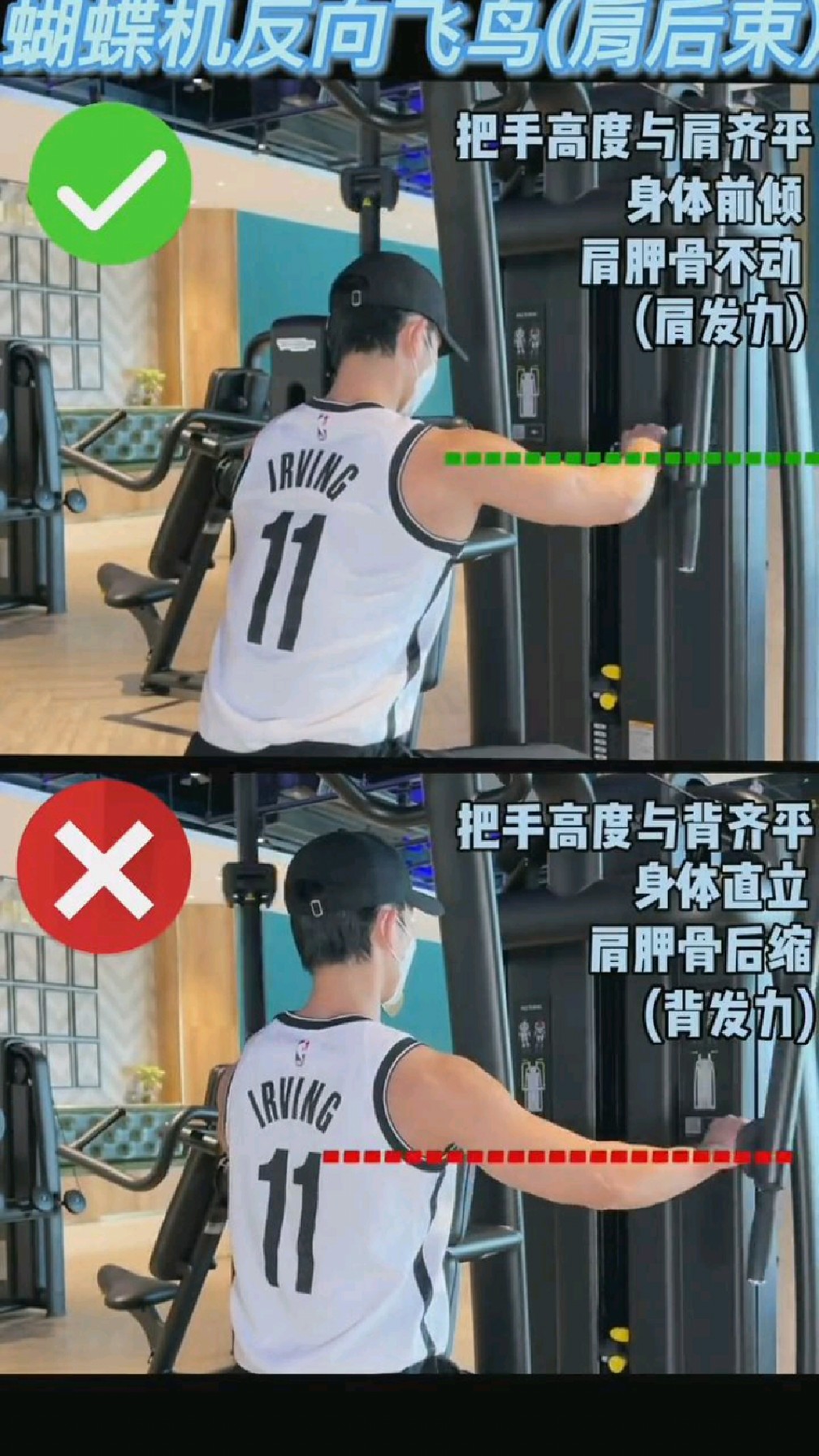 蝴蝶机反向飞鸟练肩还是练背你做对了吗