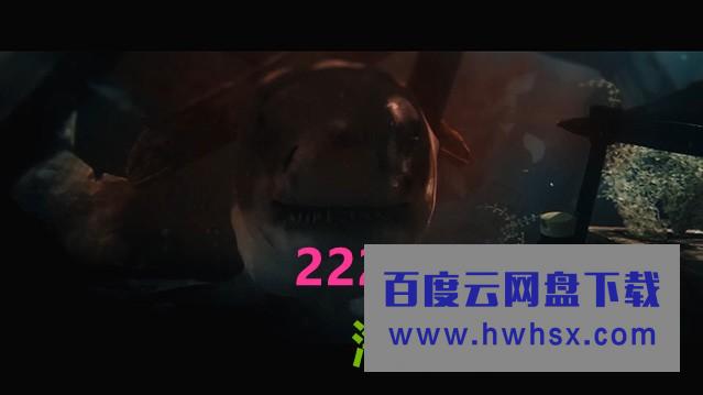 2020惊悚剧情《大浪白鲨》1080p.BD中字4K|1080P高清百度网盘