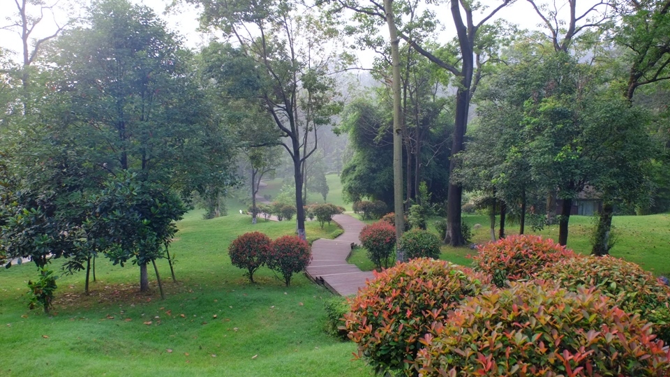 小车河湿地公园停车图片