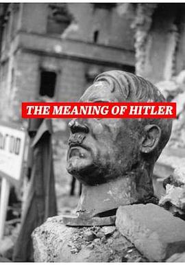 《 The Meaning of Hitler》王者传奇魔光项链