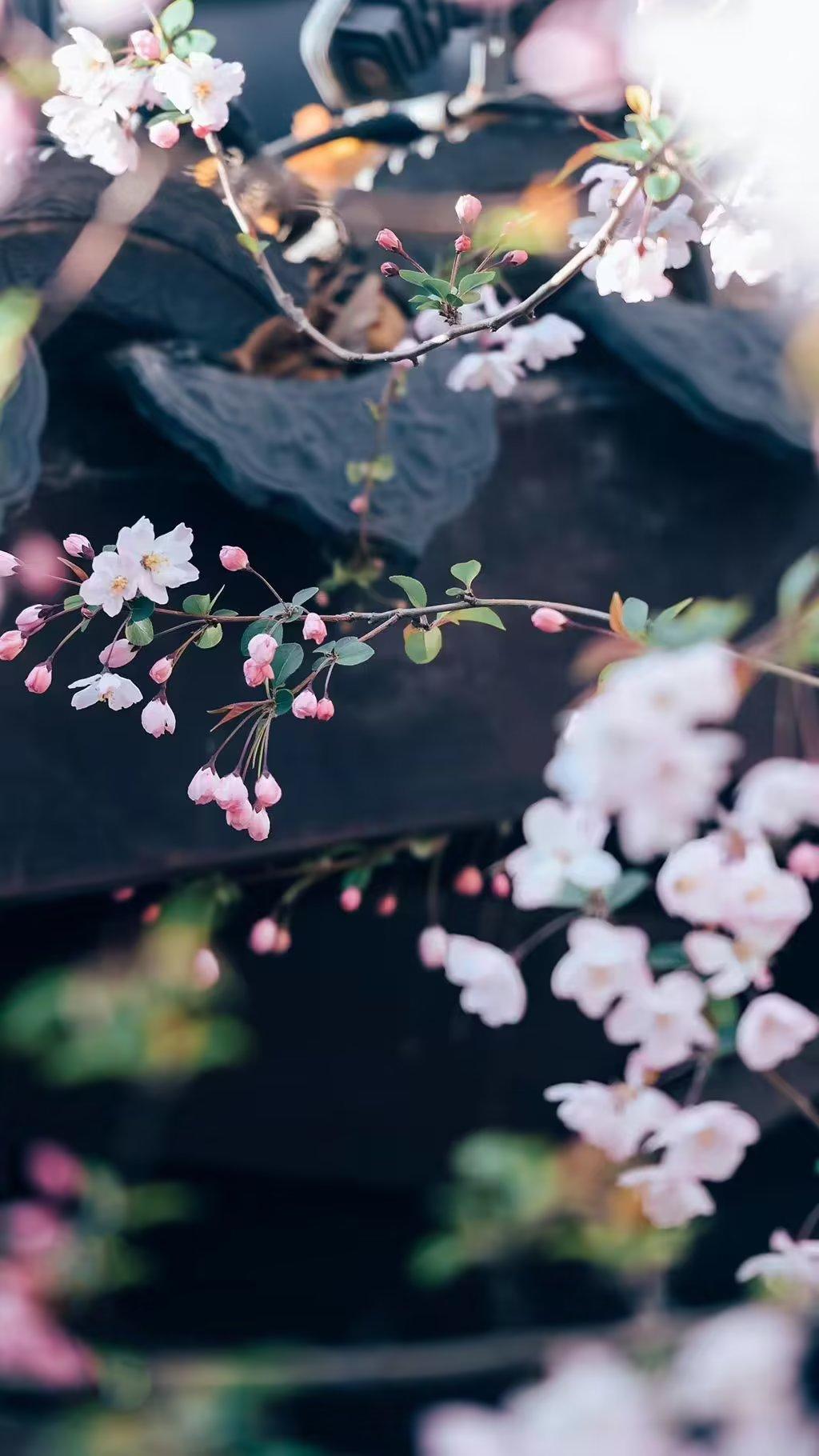 你的心儿恍如那片海